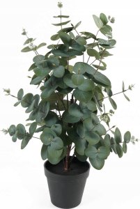 Sztuczny eukaliptus w doniczce EDEN, 54 cm 1