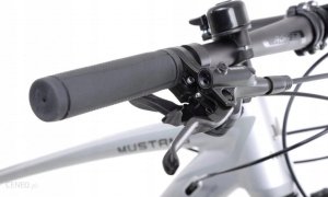 Dviratis Romet Mustang M3 2024 silver-grey-19" / L (Dydis: 19" / L) 3