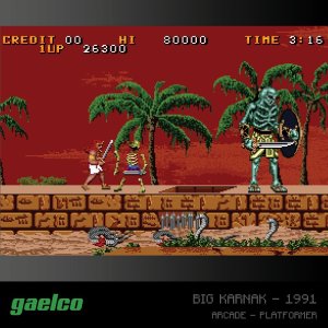 EVERCADE A6 - Zestaw gier Gaelco (Piko) Arcade 2 3