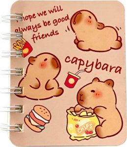 Zestaw Notesów Notatników W Linie Kapibara 4szt A7 4