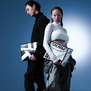 Skinarma Torba Comet laptop sleeve 14"    srebrny/silver 4