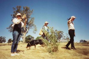 FilmNeverDie film Sora 200/36 (C-41) 4