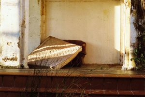 FilmNeverDie film Sora 200/36 (C-41) 6