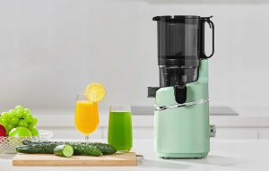 Wyciskarka wolnoobrotowa AMZCHEF SJ-036-GN (zielony) 6