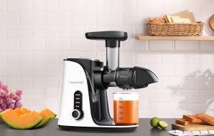 Wyciskarka wolnoobrotowa AMZCHEF GM3001-WT (biały) 3