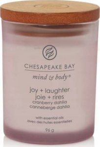 Chesapeake Bay Joy + Laughter vonná svíčka 96 g 3