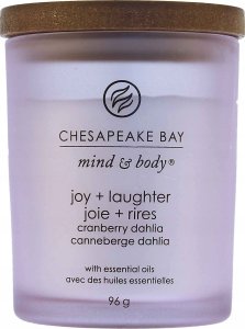 Chesapeake Bay Joy + Laughter vonná svíčka 96 g 5