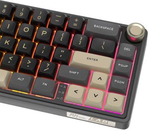 Royal Kludge R65 RGB Phantom laidinė mechaninė klaviatūra | 60%, Brown switches, US 4
