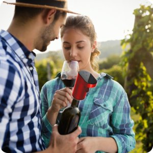 ELEKTRYCZNY INTELIGENTNY DYSPENSER NALEWAK DO NAPOJÓW REDSACK SZWAGROMAT 9