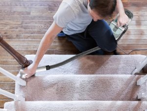 HAUSHOF StainZapper Lite odkurzacz do czyszczenia dywanów sof tapicerek aut 6