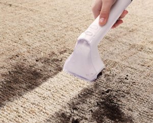 HAUSHOF StainZapper Lite odkurzacz do czyszczenia dywanów sof tapicerek aut 7