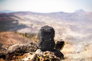Lowepro backpack ProTactic BP 350 AW III 2