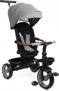 ROWEREK 3-KOŁOWY SABER GREY 3