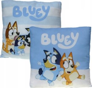 Poduszka ozdobna 40x40 BLUEY 1