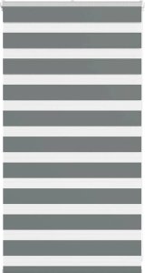 vidaXL Roleta zebra, ciemnoszara, szerokość tkaniny 65,9 cm, poliester 1