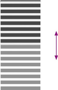 vidaXL Roleta zebra, czarna, szerokość tkaniny 90,9 cm, poliester 5