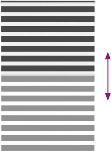 vidaXL Roleta zebra, czarna, szerokość tkaniny 135,9 cm, poliester 5