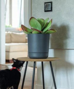 Doniczka okrągła Satina + podstawka Zestaw 3szt. 4