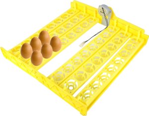 Inkubator do jajek Heckermann EW-48 12