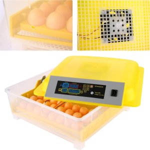 Inkubator do jajek Heckermann EW-48 2