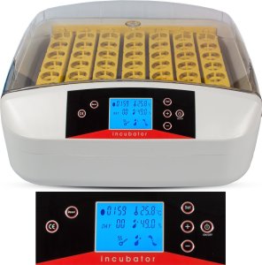 Inkubator do jajek Heckermann EW-56A 2