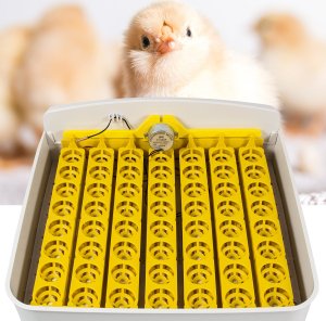 Inkubator do jajek Heckermann EW-56A 4