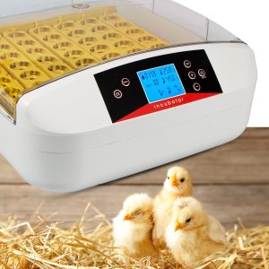 Inkubator do jajek Heckermann EW-56A 7