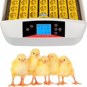 Inkubator do jajek Heckermann EW-56A 9