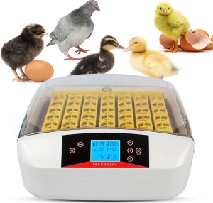 Inkubator do jajek Heckermann EW-56A 10