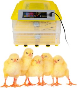 Inkubator do jajek Heckermann EW-112 12