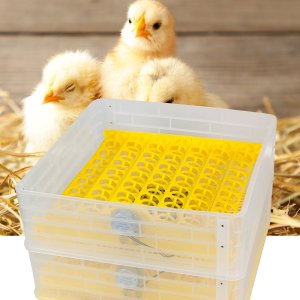 Inkubator do jajek Heckermann EW-112 7