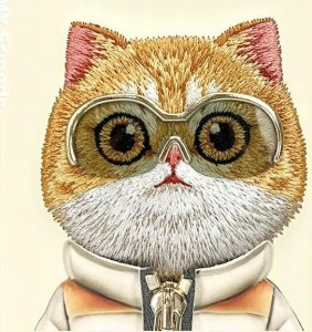 Nimmy case iPhone 15 Pro Max 6.7" khaki Cool&Cute 2.0 Cat 9