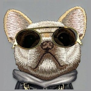 Nimmy iPhone 16 6.1" case gray/gray Glasses Cool Dog 9