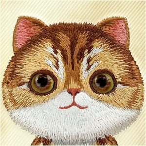 Nimmy case iPhone 16 6.1" khaki Big Eyed Pet 2.0 Cat 8