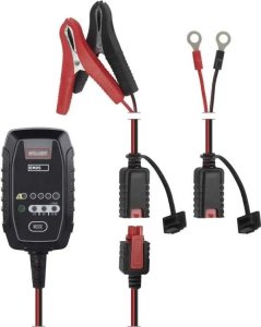 Car battery charger 6/12V 0.8A 1.2-30Ah 10