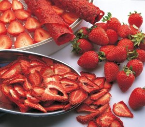 Food dryer Ezidri Ultra FD1000 2