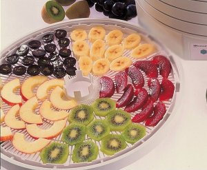 Food dryer Ezidri Ultra FD1000 5