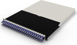 30RU / UTP / Violet 2