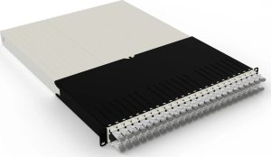 30RU / STP / White 2