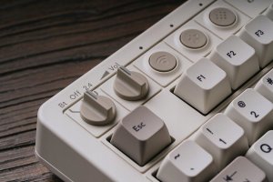 8Bitdo Pro2 Gamepad G Edycja Klasyczna 8