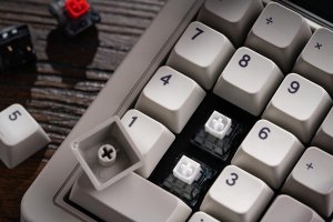 8Bitdo Pro2 Gamepad G Edycja Klasyczna 8