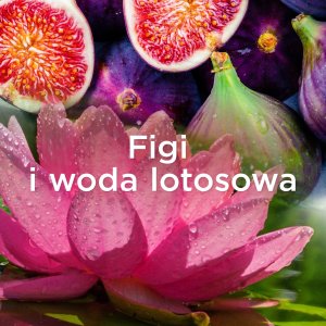 Płyn do płukania Lenor PerfumeTherapy DiamondFigs & LotusWater 1.85L 10