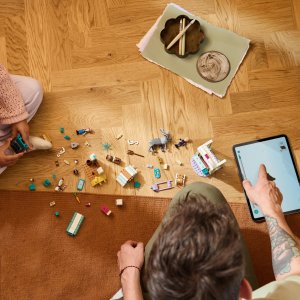 Disney Przygoda na sankach Anny (43256) 3