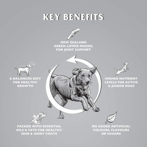 Wypróbuj zestaw karm Dr John Grain Free 2 kg, Lamb 4 kg i Titanium 4 kg 2