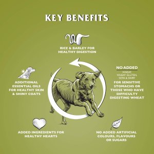 Wypróbuj zestaw karm Dr John Grain Free 2 kg, Lamb 4 kg i Titanium 4 kg 3