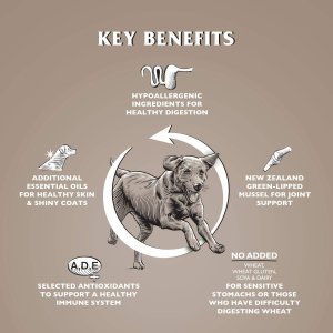 Wypróbuj zestaw karm Dr John Grain Free 2 kg, Lamb 4 kg i Titanium 4 kg 4