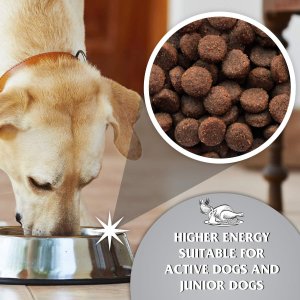 Wypróbuj zestaw karm Dr John Grain Free 2 kg, Lamb 4 kg i Titanium 4 kg 5