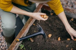 Fiskars Motyczka Solid (1072100) 3