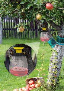 Pułapka na Osy Owady do Wyłapywania Os Przeciw Osom Wasp Seductor 7