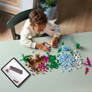 LEGO Classic Kreatywne dinozaury (11041) 12